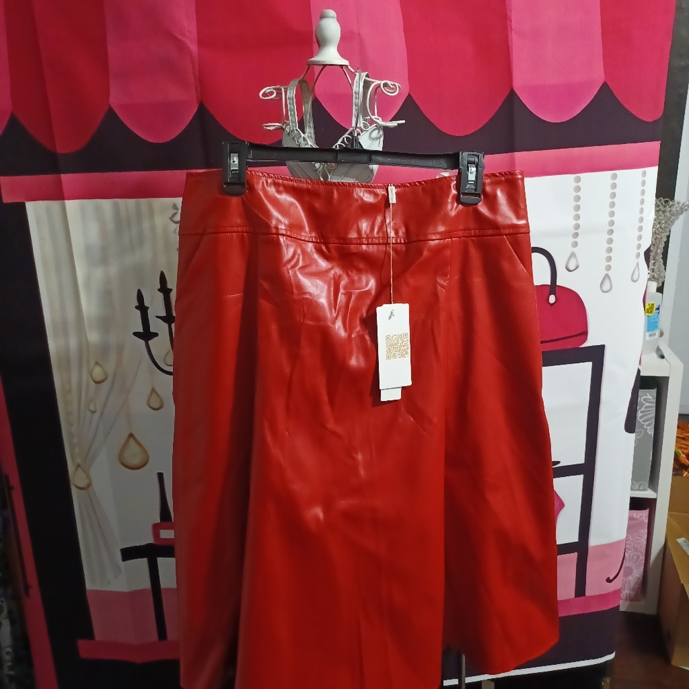 RED HOT Plus Size Faux Leather Swing Skirt